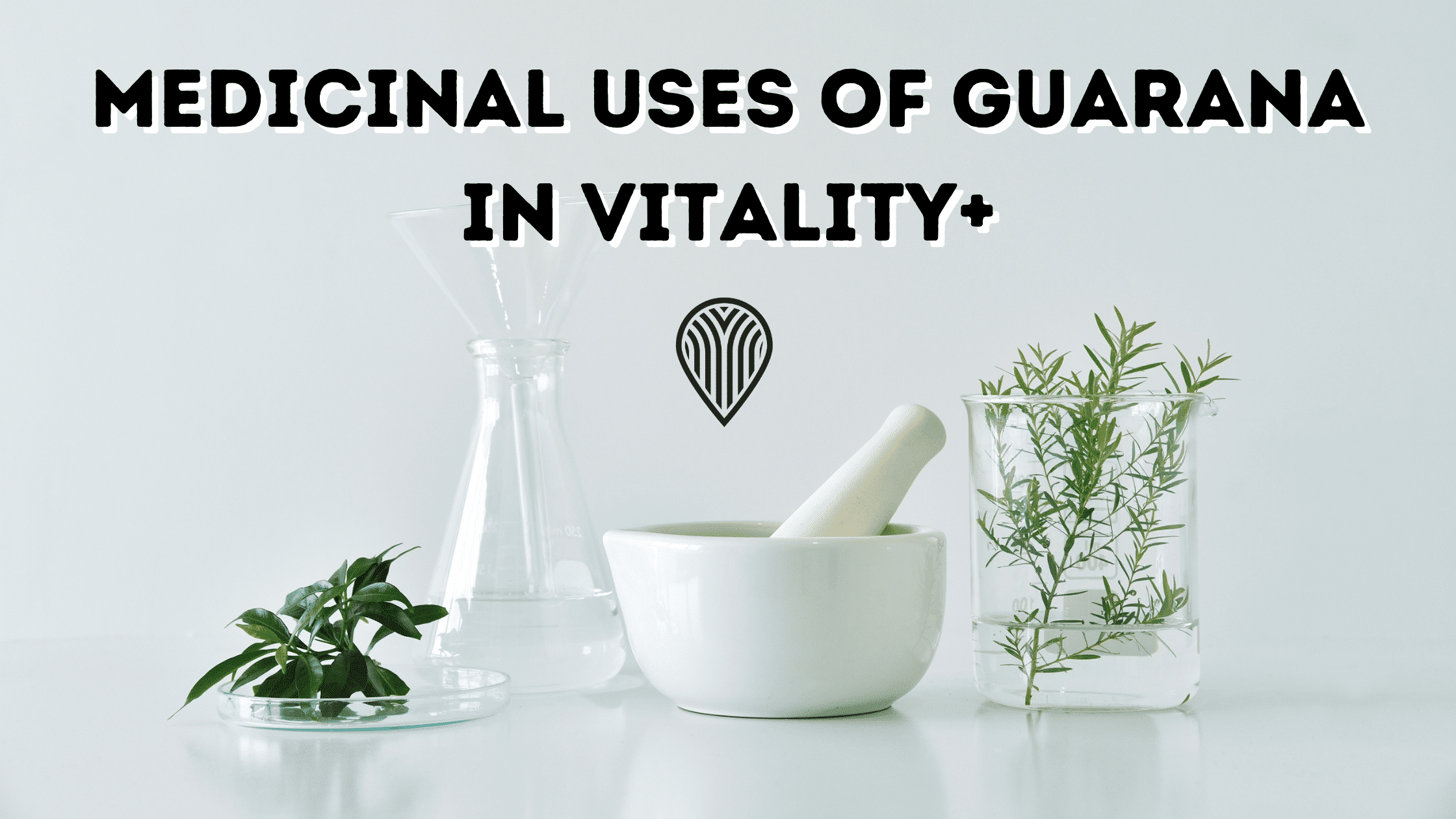 BENEFITS OF GUARANA IN VITALITY+