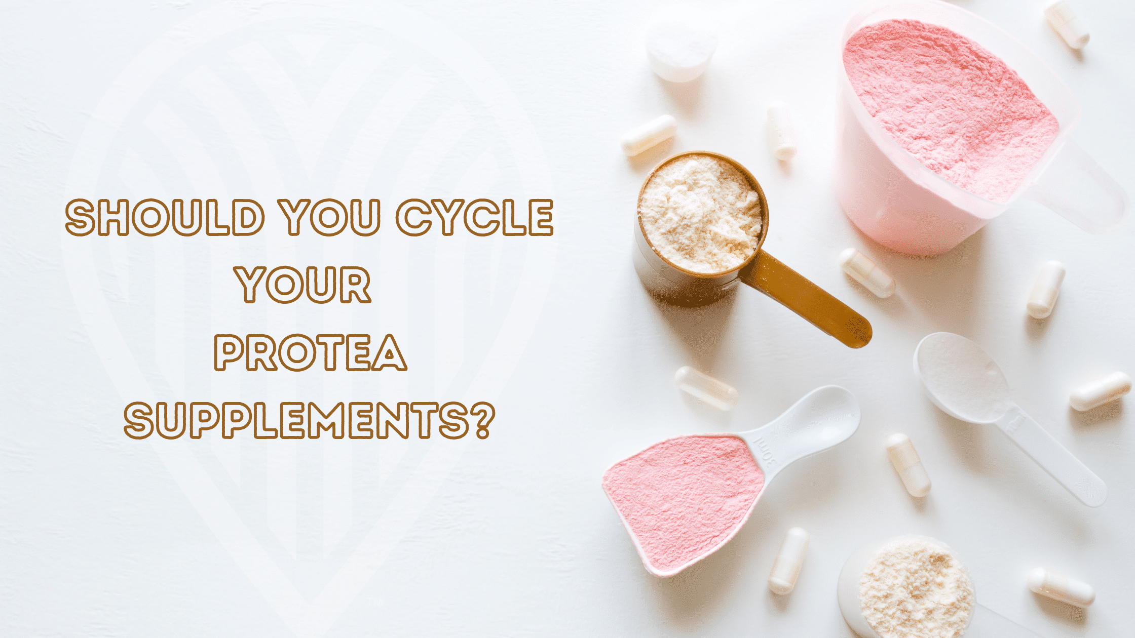 Should you cycle your Protea Supplements_ (3)
