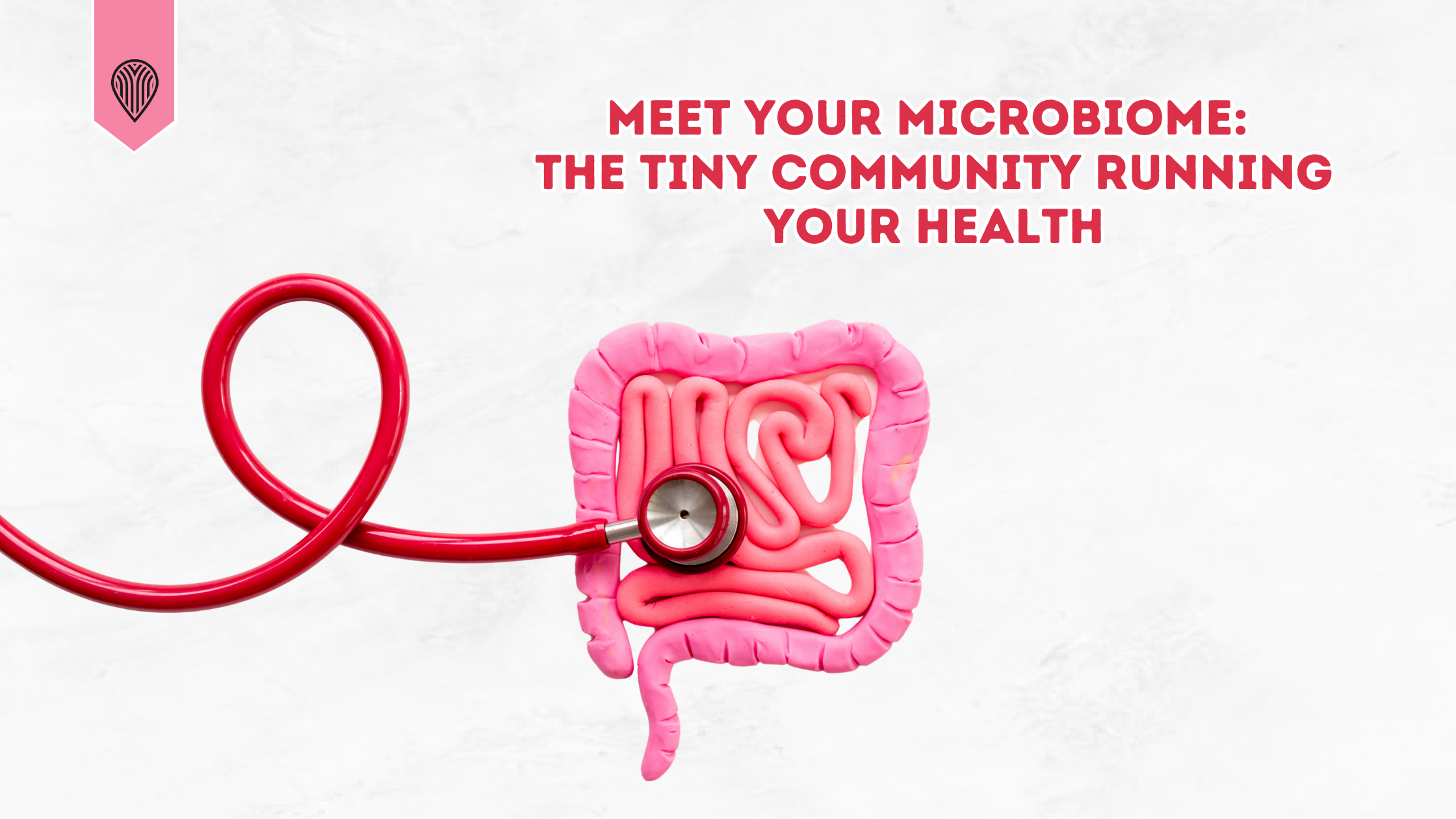 Meet Your Microbiome: The Tiny Community Running Your Health