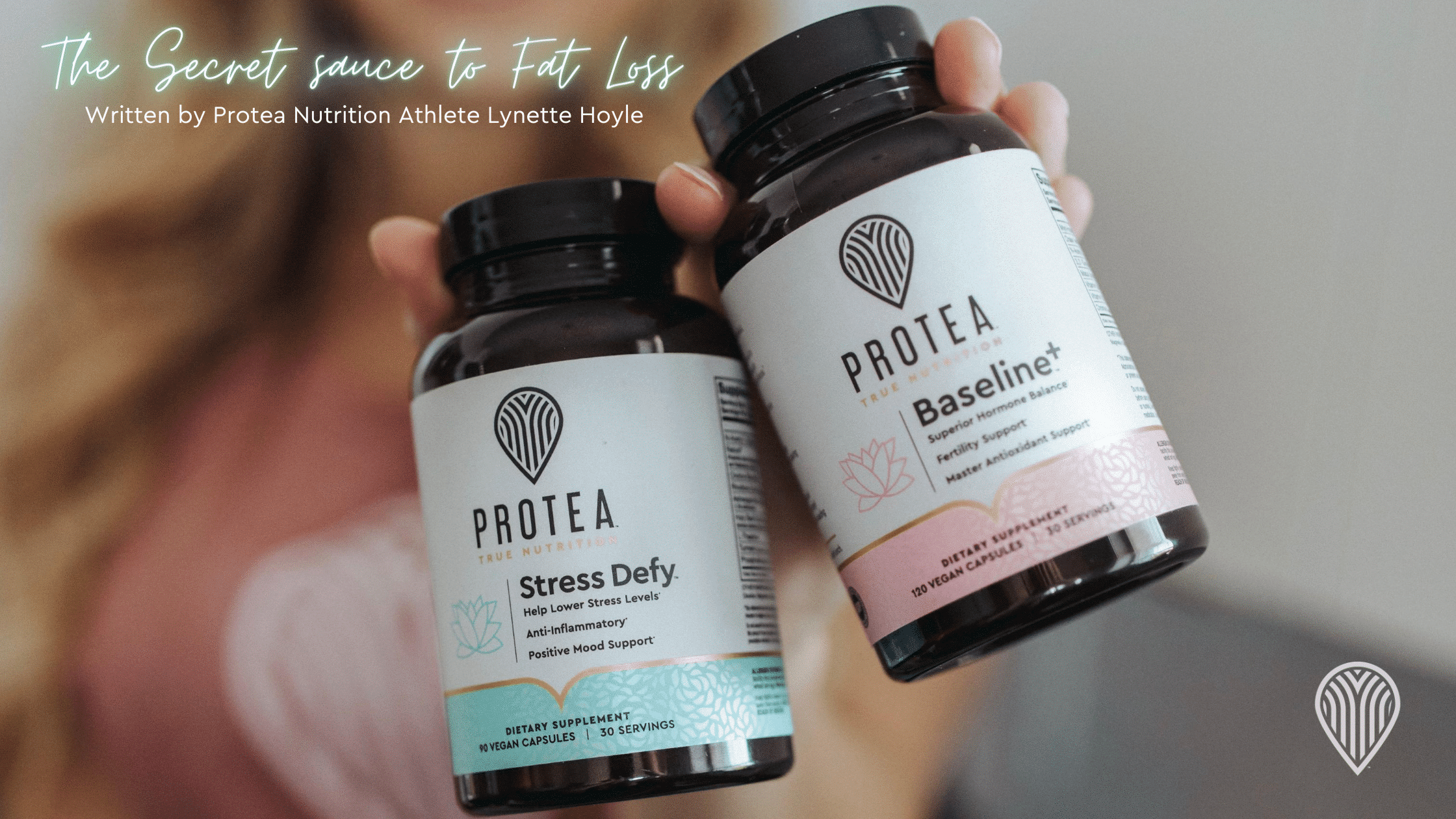 lynette hoyle blog image