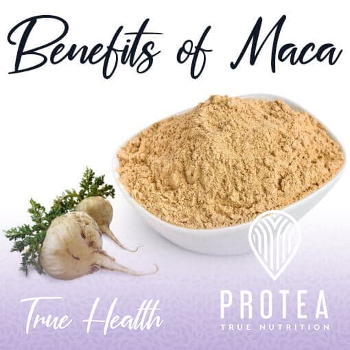 maca_powder_bowl_with_root