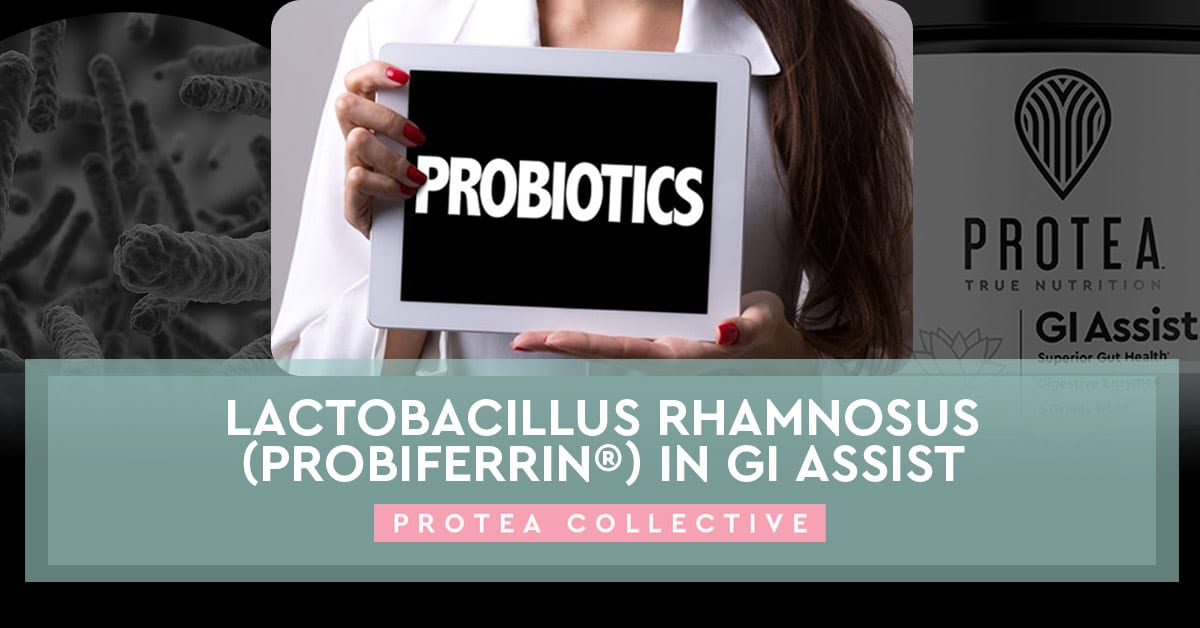 protea-blog_lactobacillus