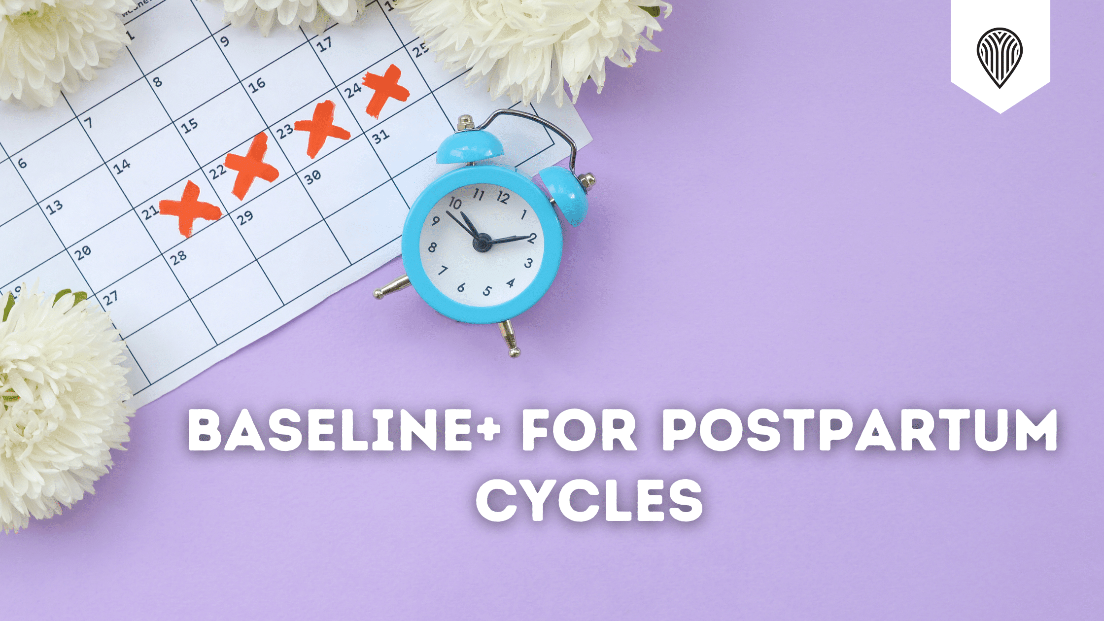Baseline+ For Postpartum Cycles – Protea Nutrition