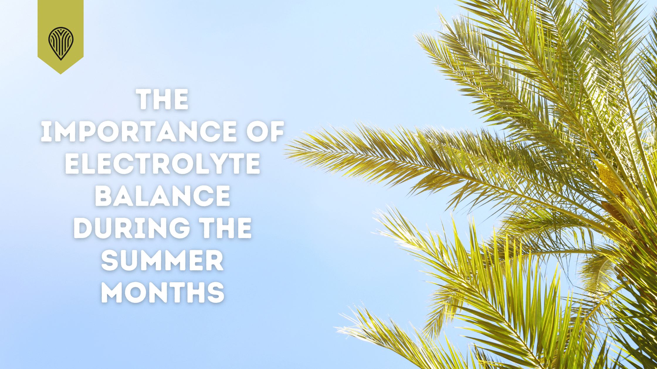 The importance of electrolyte balance during the summer months – Protea ...