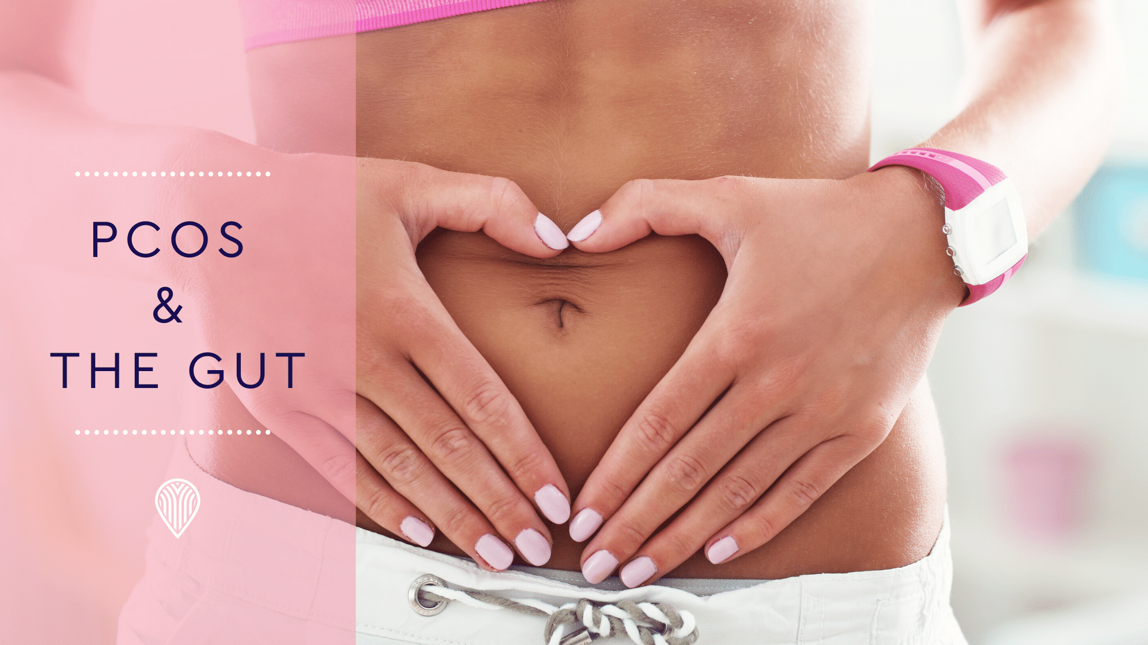 PCOS & the gut