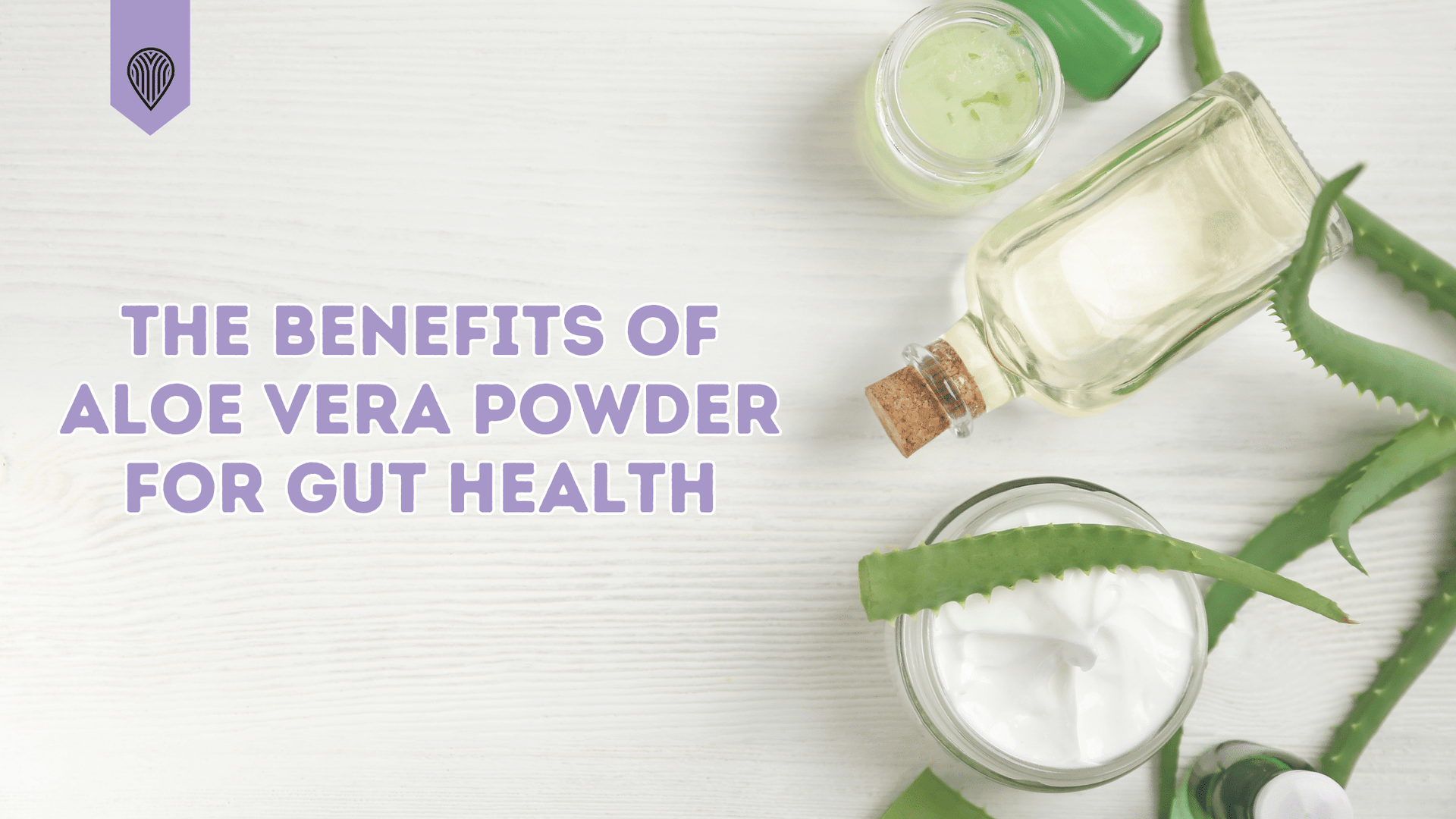 The Benefits of Aloe Vera Powder for Gut Health  Protea Nutrition