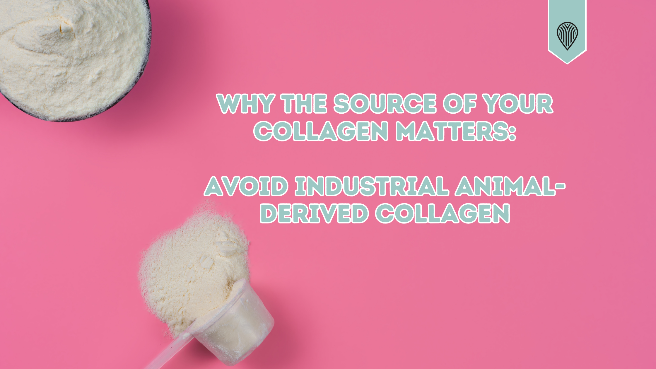Why the Source of Your Collagen Matters: Avoid Industrial Animal-Derived Collagen