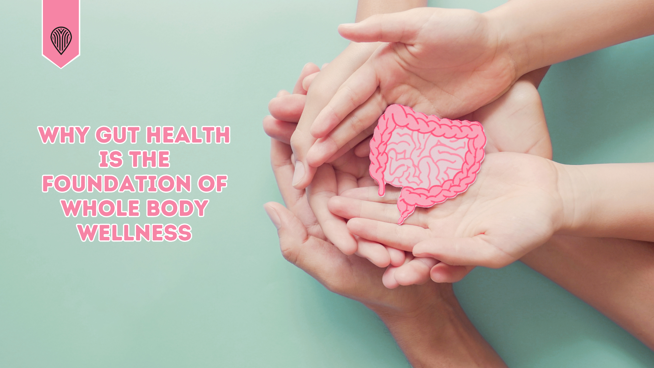 Why Gut Health Is the Foundation of Whole Body Wellness