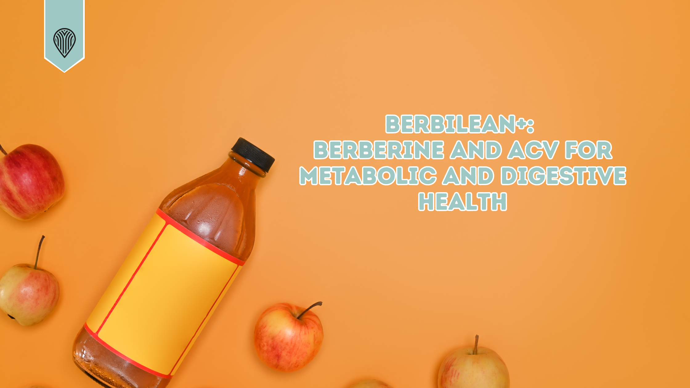 Berbilean+: Berberine and ACV for Metabolic and Digestive Health