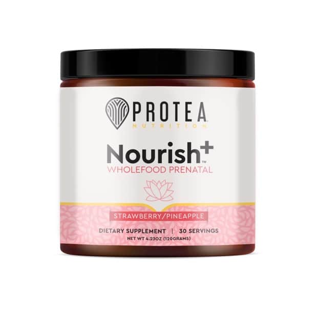 Protea - Nourish+